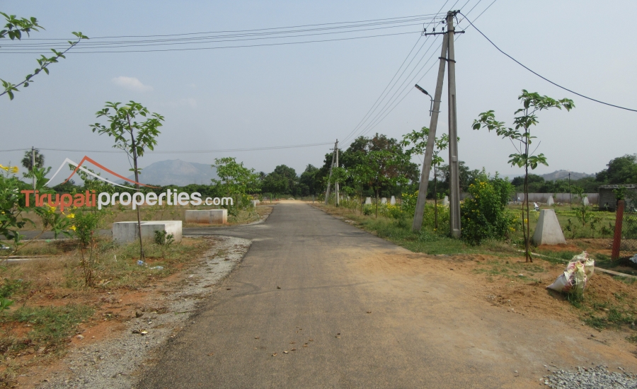 TUDA Approved #GatedCommunity East, West and North Facing Venture #PlotsforSale in Tiruchanur, #Tirupati